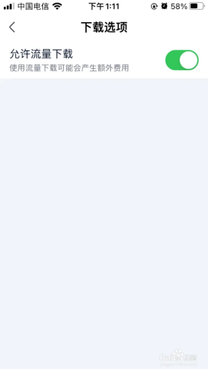 爱奇艺极速版如何设置允许流量下载