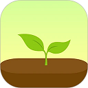 Forest手机版