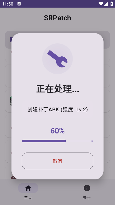 SRpatch去签截图3