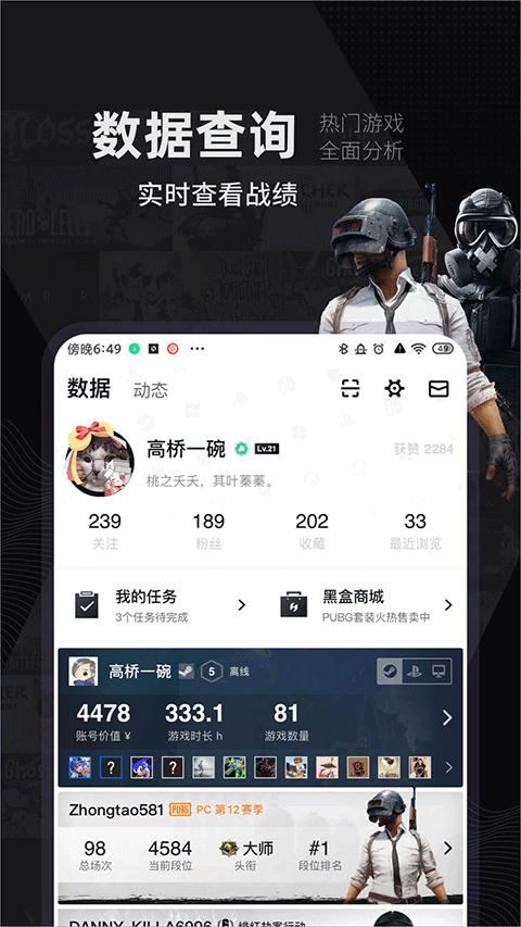 lolrank查询工具截图3