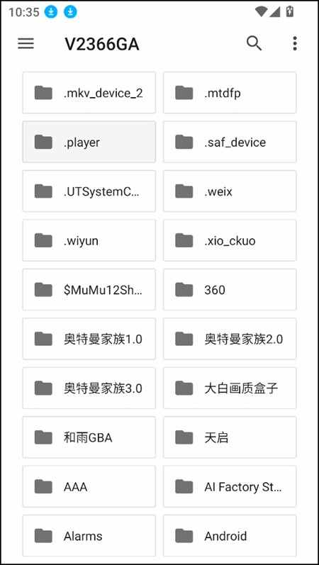 Ruffle模拟器
