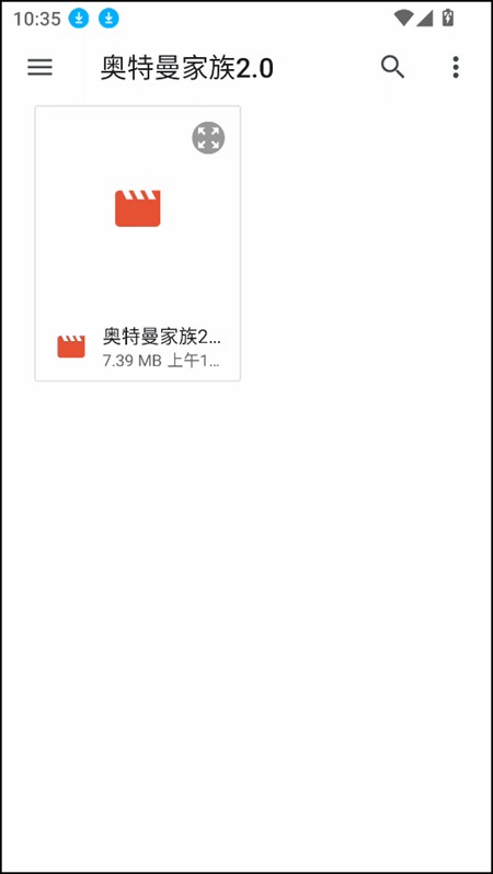 Ruffle模拟器