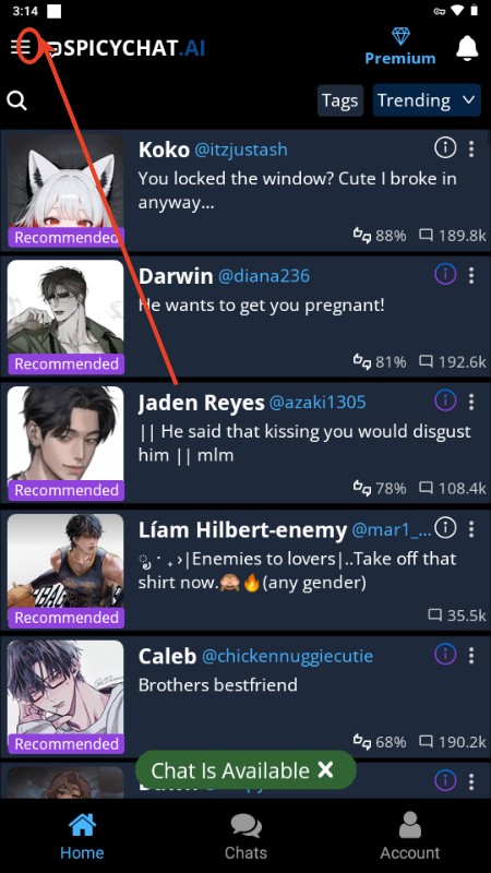 SpicyChat