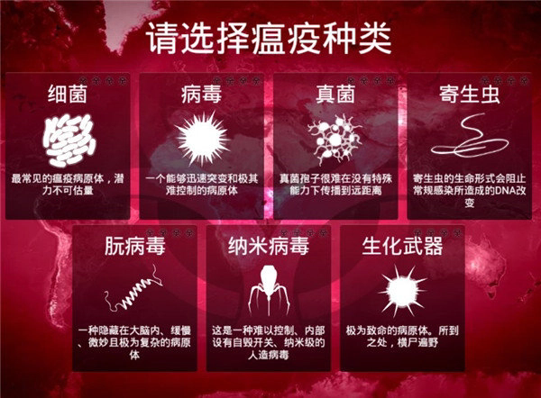 细菌公司高级版