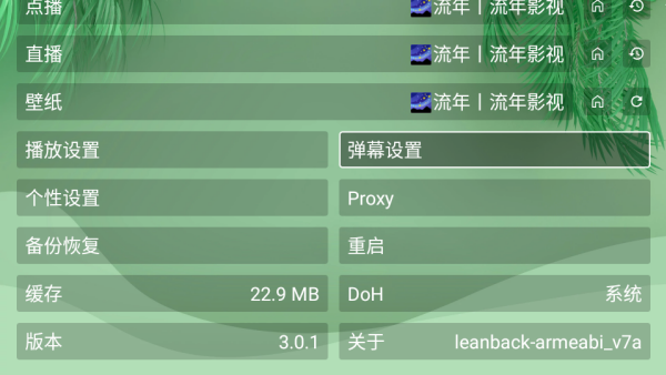 流年影视