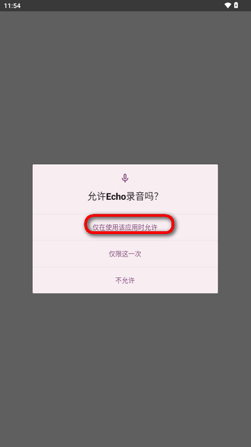 echo回声旧版
