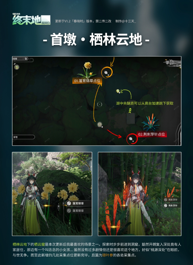 明日方舟终末地武陵琼叶参点位在哪 武陵琼叶参采集点一览