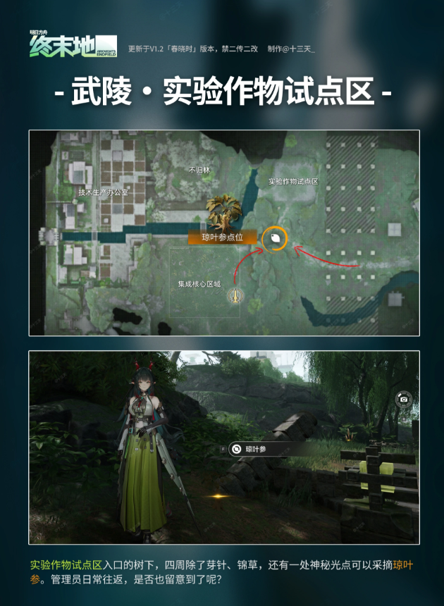 明日方舟终末地武陵琼叶参点位在哪 武陵琼叶参采集点一览
