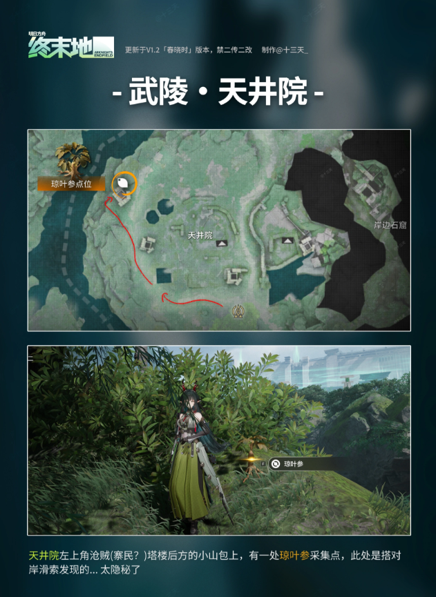 明日方舟终末地武陵琼叶参点位在哪 武陵琼叶参采集点一览