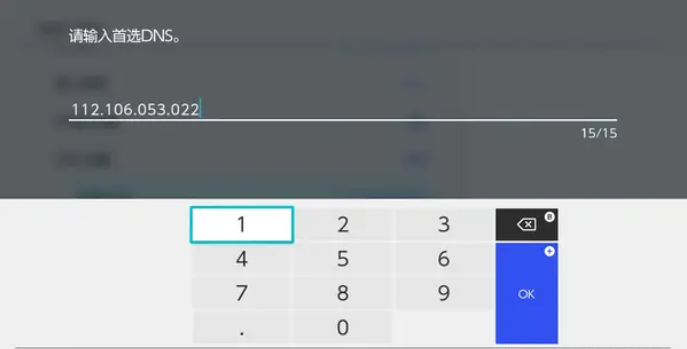 switch怎么改dns地址
