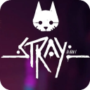 stray迷失