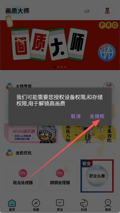 画质大师专业版