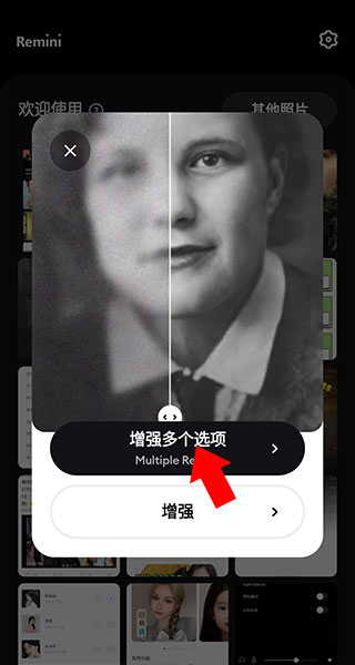 remini油画