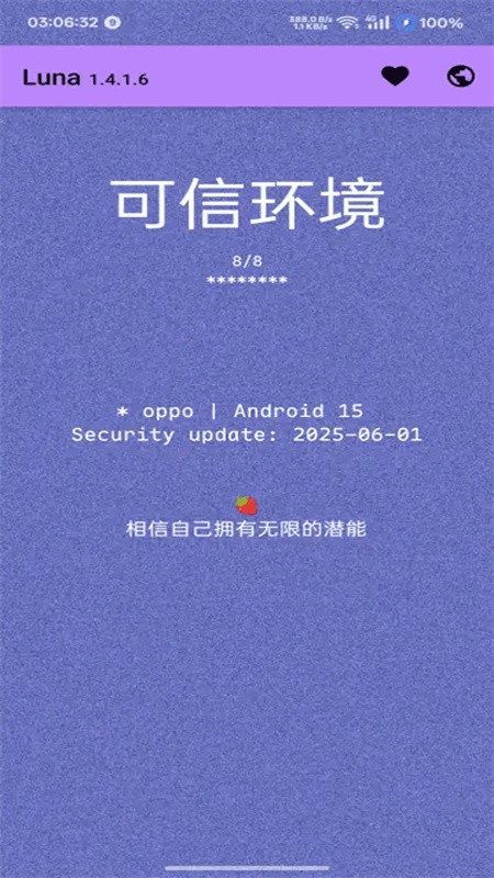 Luna环境检测工具截图2