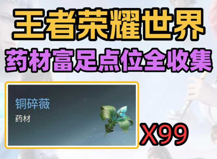 王者荣耀世界铜碎薇点位大全