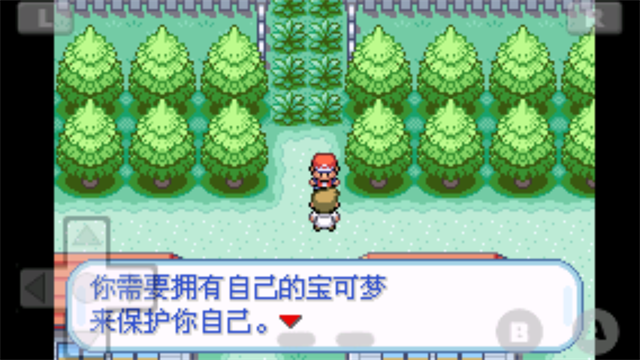 口袋怪兽火红版截图3