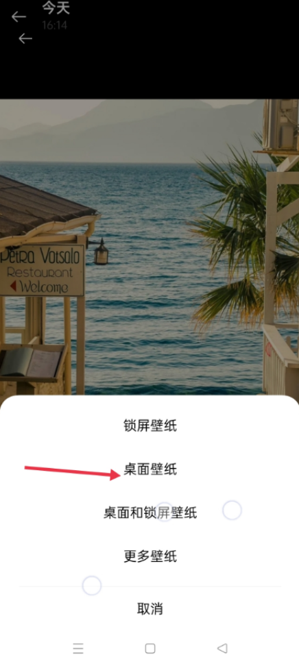 小红书怎么设置动态壁纸
