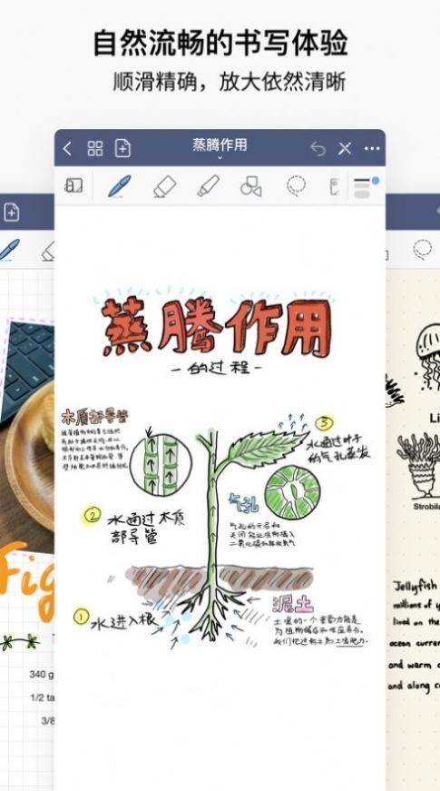 goodnotes5截图3