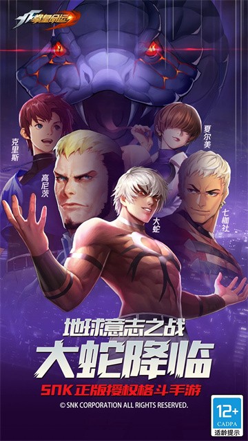 拳皇命运截图2