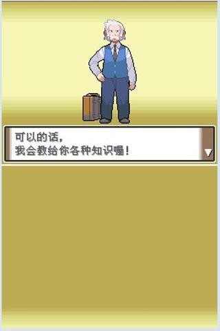 口袋妖怪白金汉化版截图1