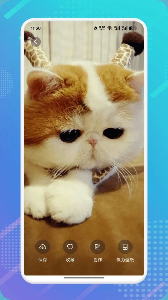 猫咪社区3.0截图1