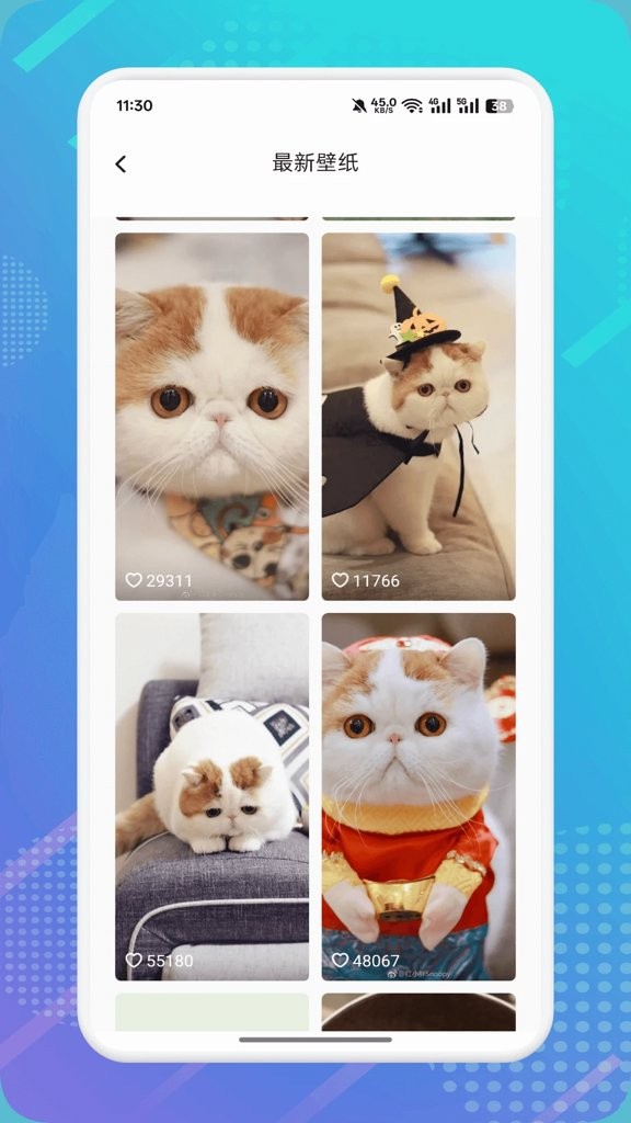 猫咪社区3.0截图2