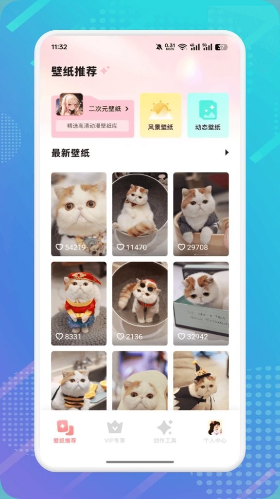 猫咪社区3.0截图3