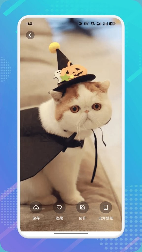 猫咪社区3.0截图4