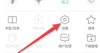 绿叶浏览器