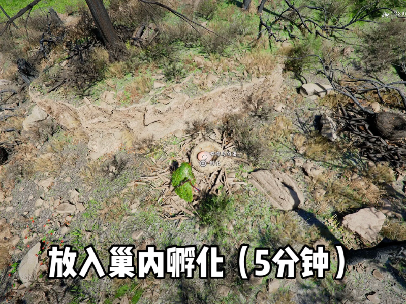 红色沙漠嘟嘟鸟坐骑怎么获得 嘟嘟鸟坐骑获取教程