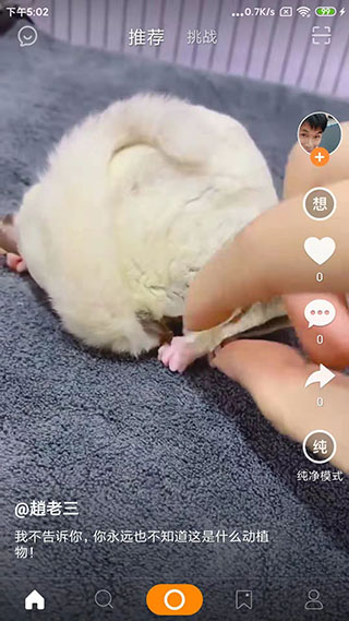 like短视频