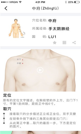 灸大夫截图4