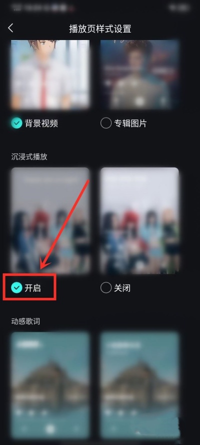 波点音乐开启沉浸式播放怎么设置