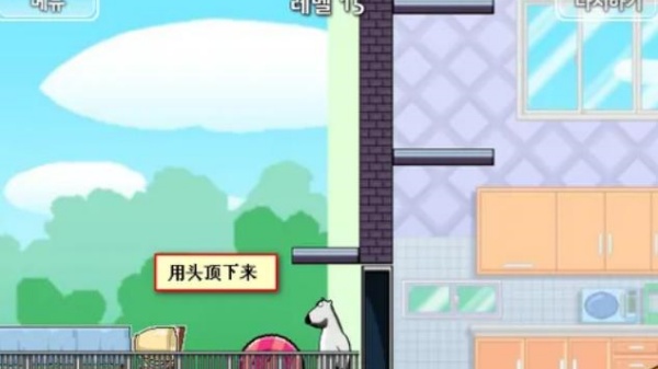 倒霉熊逃离房间
