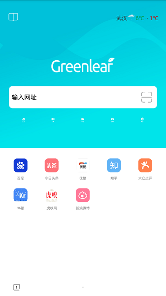 绿叶浏览器截图0