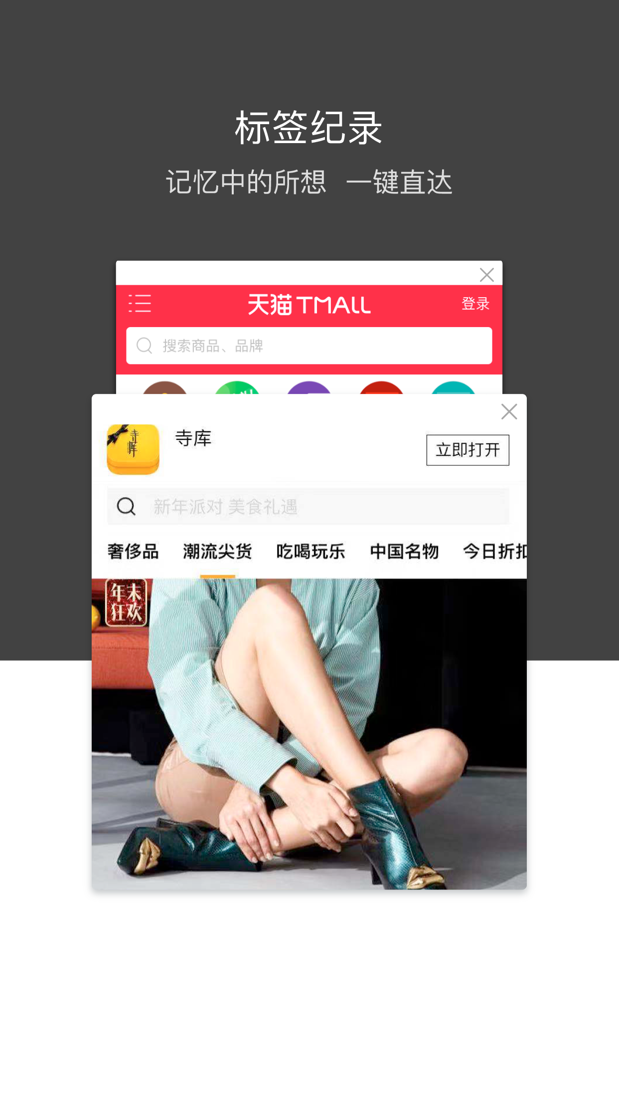 绿叶浏览器截图2