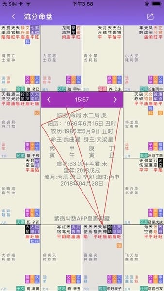 紫微排盘软件截图3