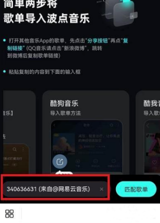 波点音乐怎么导入网易云歌单 歌单导入方法