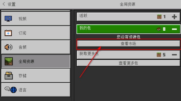 我的世界国际版