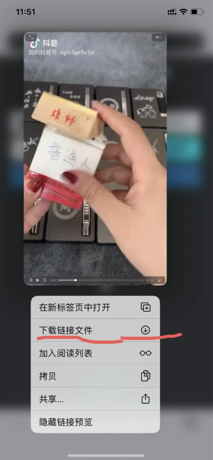 safari怎么下载网页视频