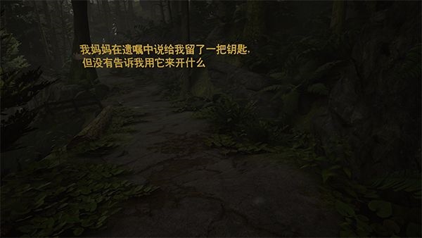 艾迪芬奇的记忆