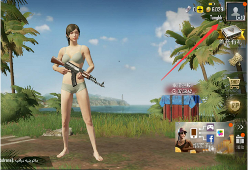 pubgmobile亚服