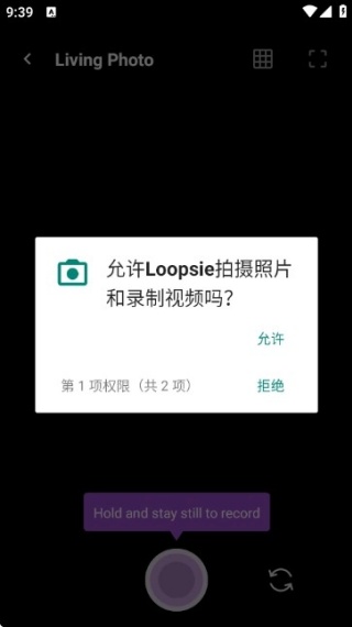 loopsie