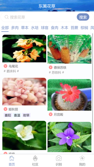 花草之家