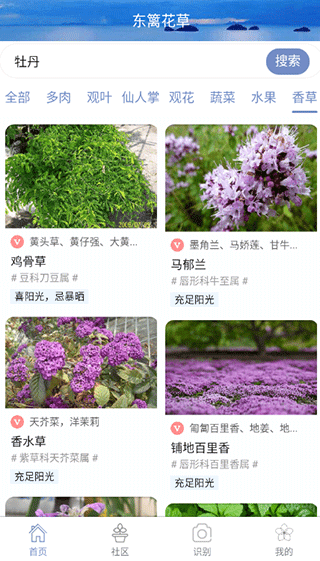 花草之家