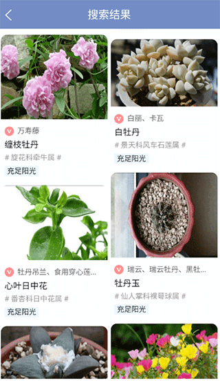 花草之家