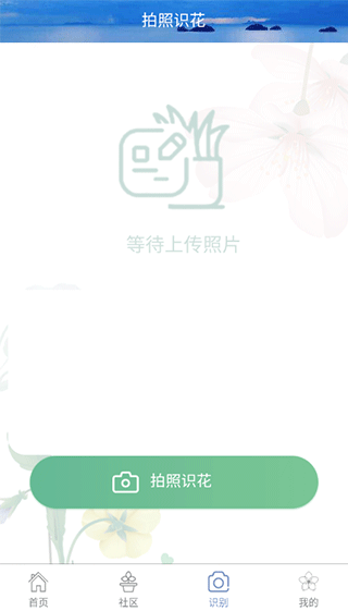 花草之家