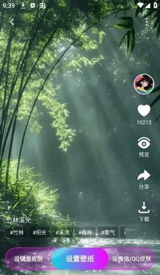 365壁纸