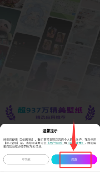 365壁纸
