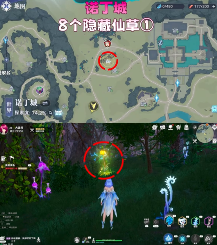 斗罗大陆猎魂世界诺丁城隐藏仙草在哪 8个隐藏仙草位置一览